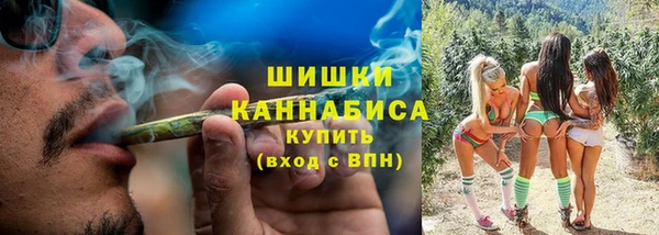 марки lsd Гусиноозёрск