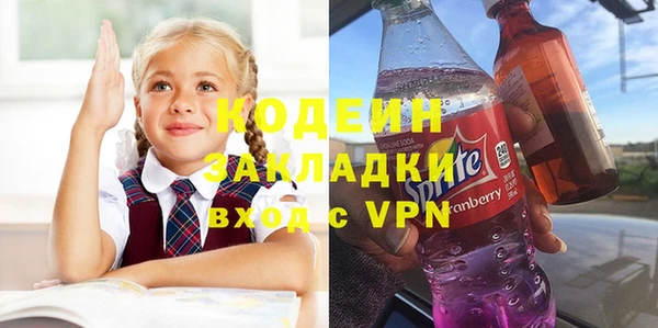 2c-b Гусев
