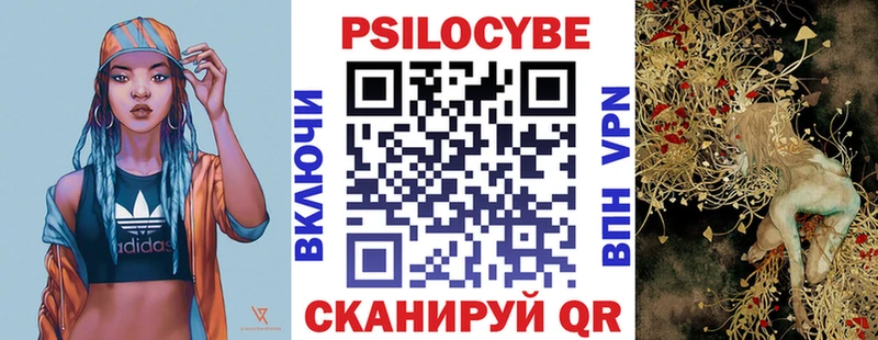 Псилоцибиновые грибы MAGIC MUSHROOMS  Купить закладки  Шахунья 